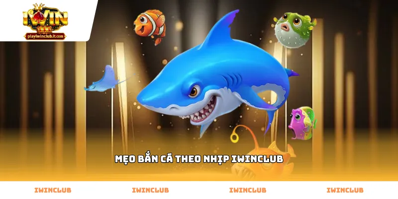 Vận hành mẹo bắn cá theo nhịp Iwinclub đạt hiệu quả cao